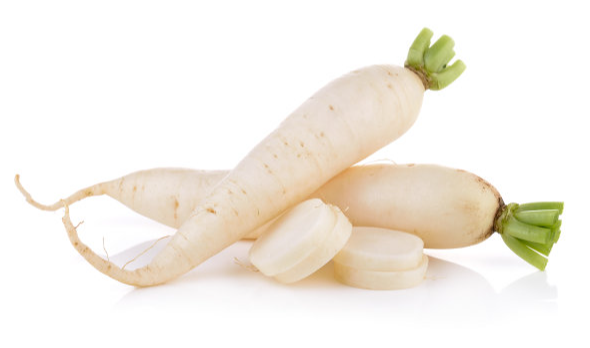 RAVANELLO BIANCO DAIKON 白萝卜
